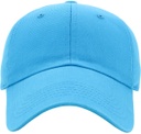 BASIC BASEBALL CAPS